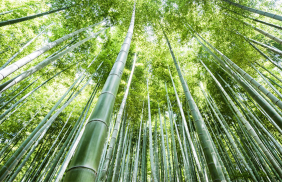 江西宇波實(shí)業(yè)有限公司